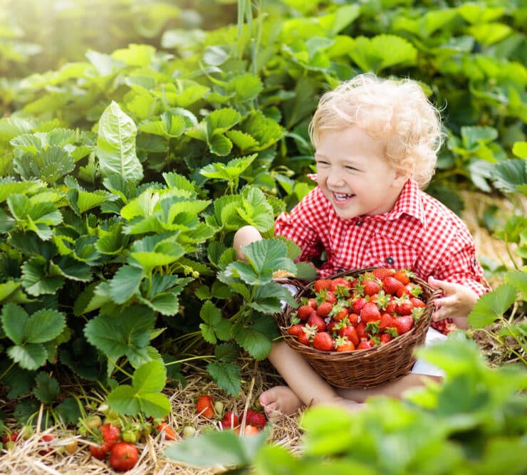 kid laughing with strawberries
