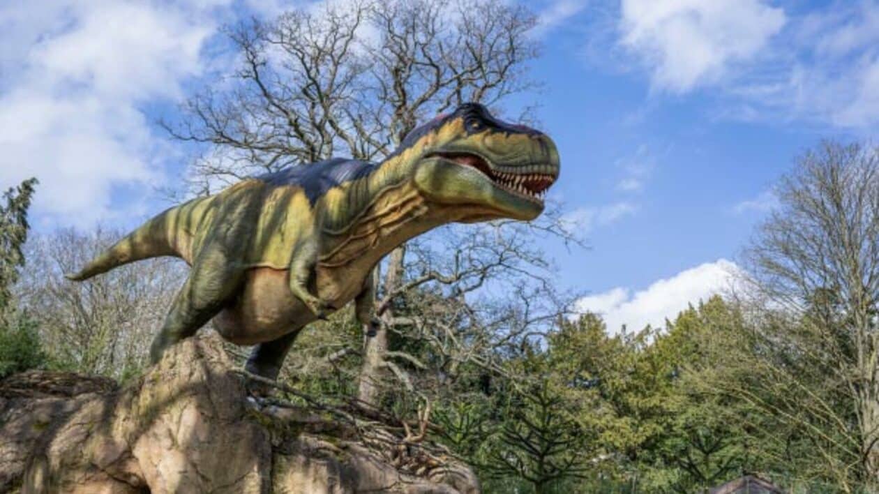 giant t rex at WMSP