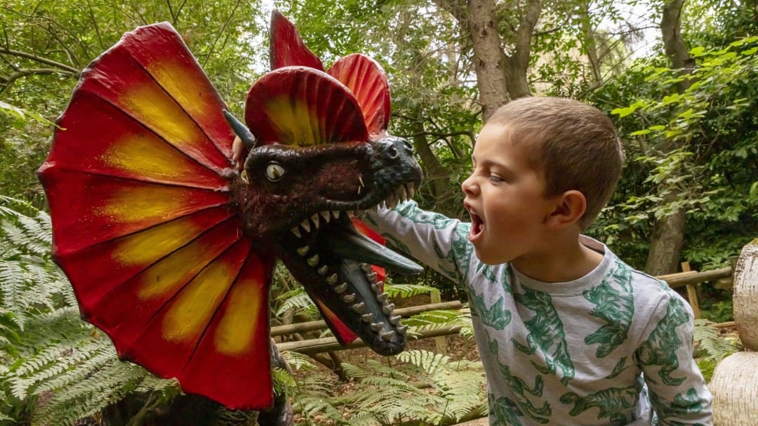 child roarring at dinosaur