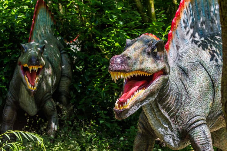 spinosaurus dinosaur