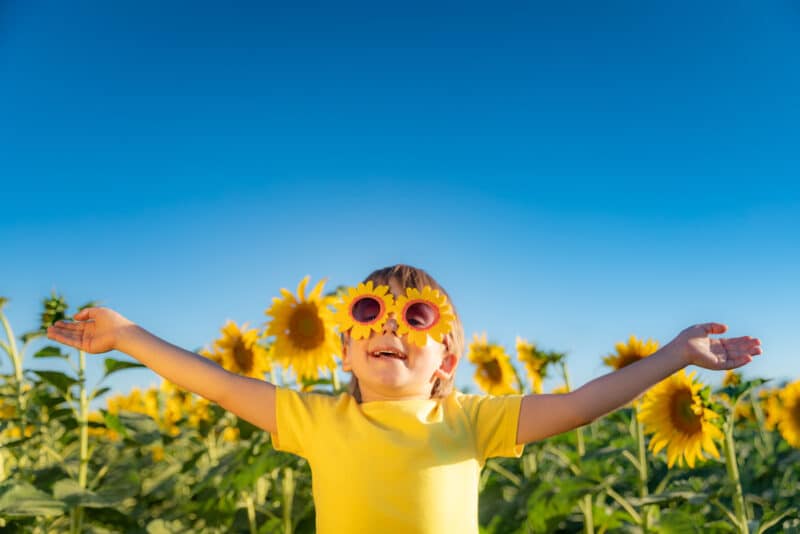 child in a sunflower field on a sunny day