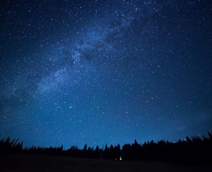 Stars in the Night Sky