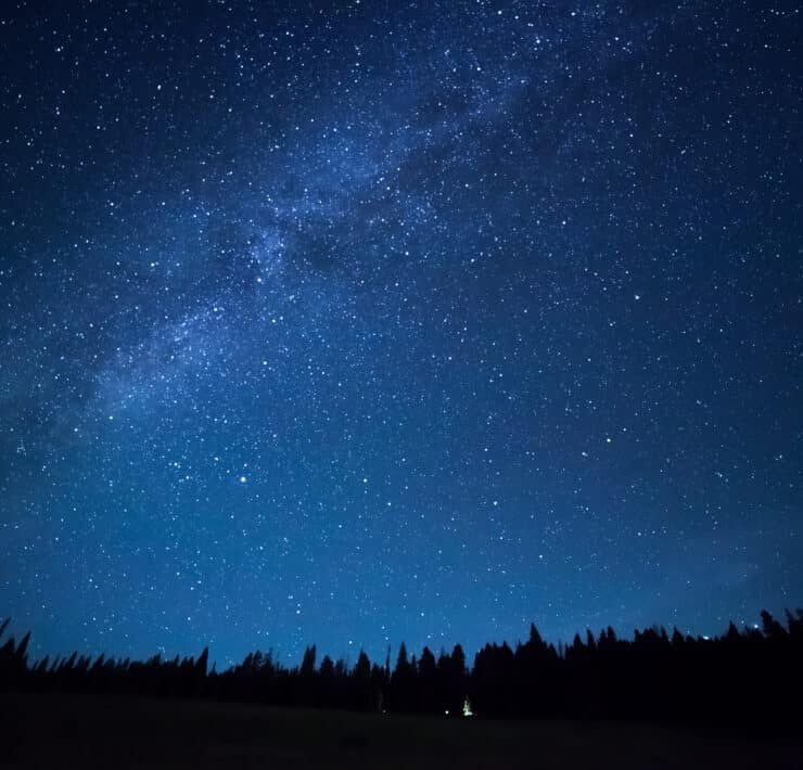 Stars in the Night Sky