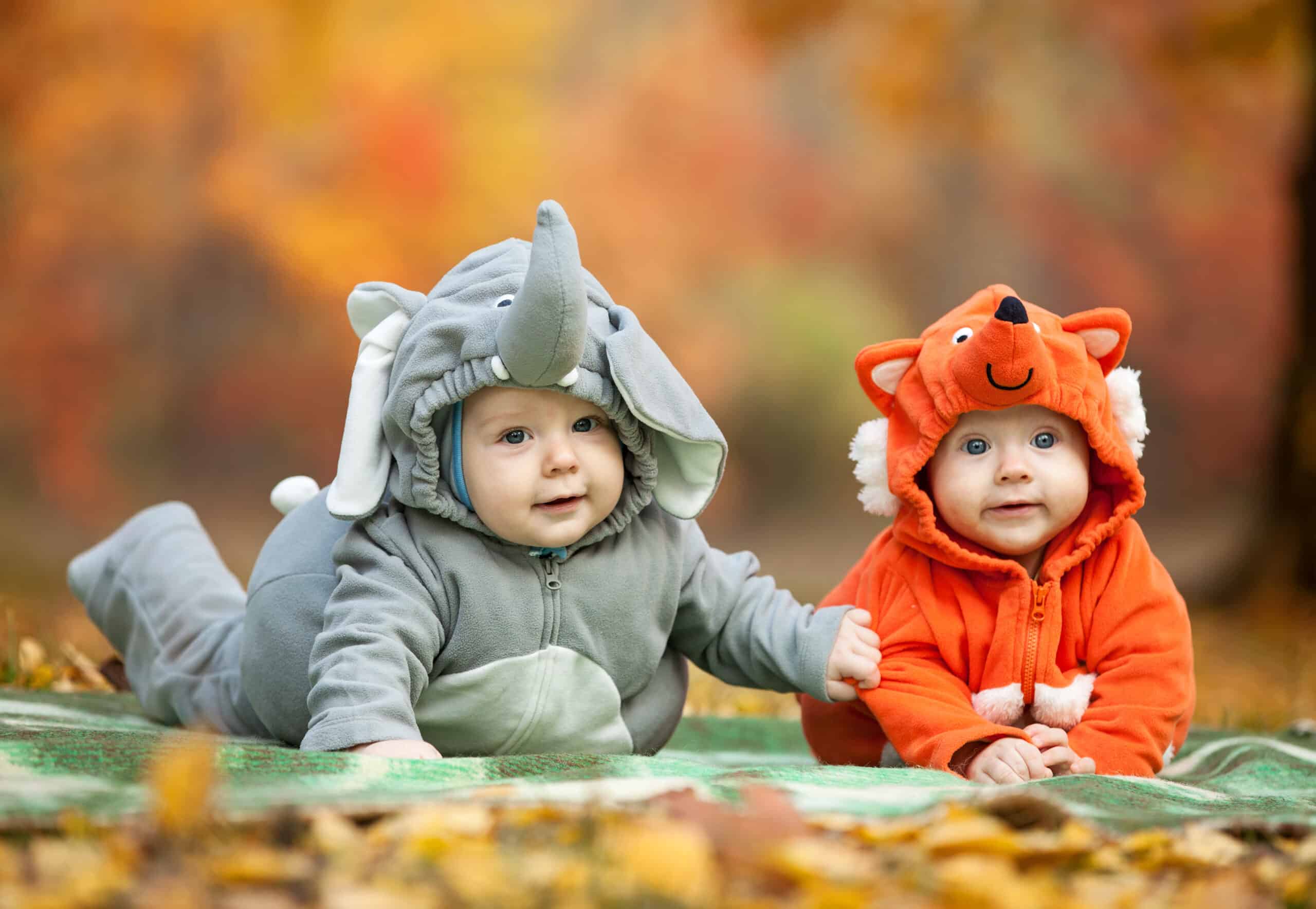 Babies dressed as animals
