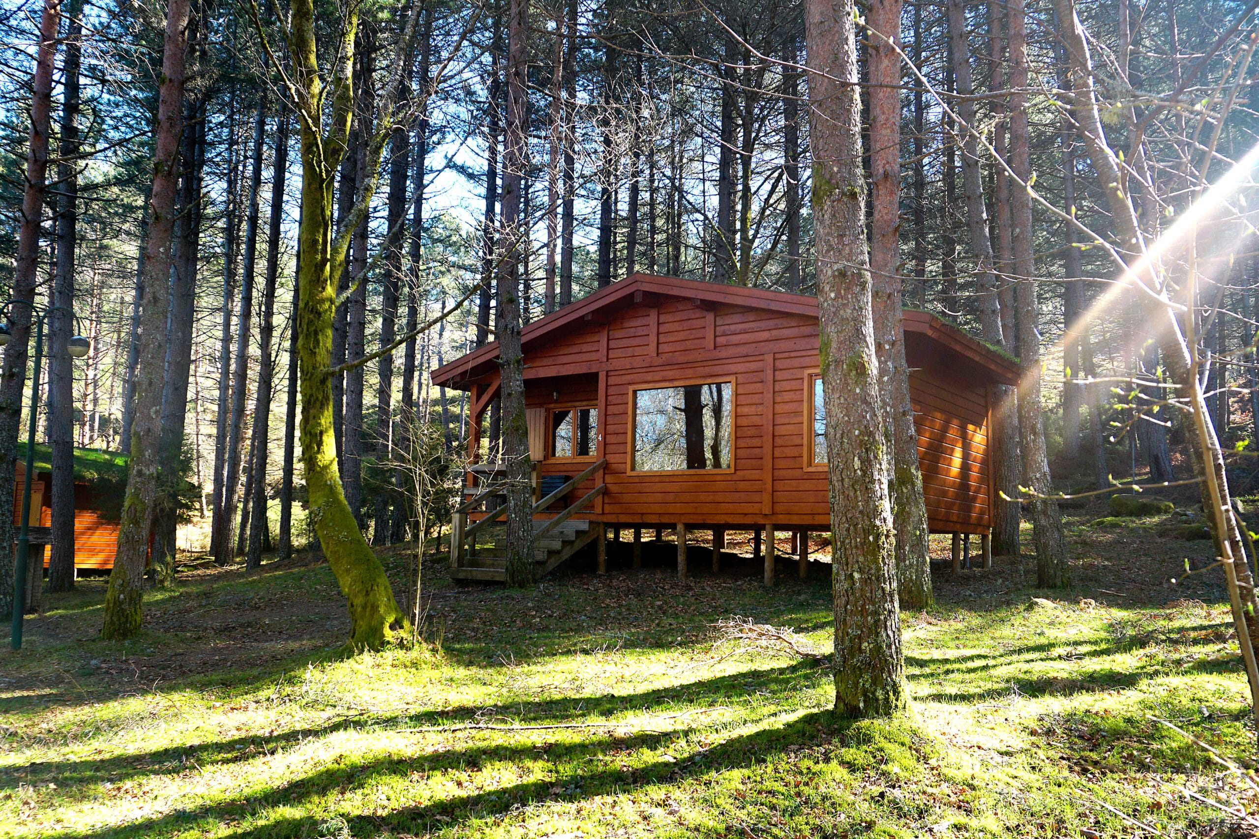 Log,Cabin,In,The,Woods Log cabin in the woods