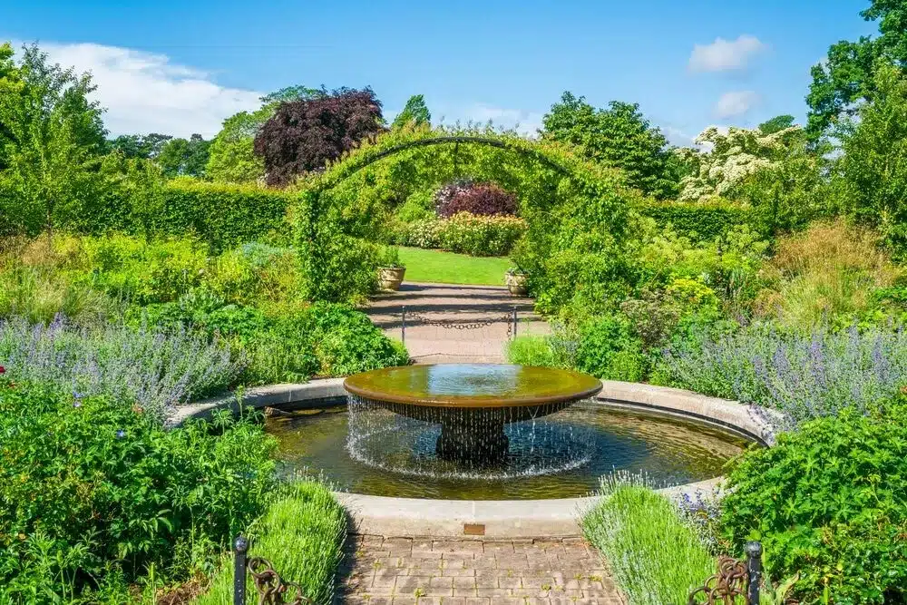 a beautiful lush garden on a sunny day