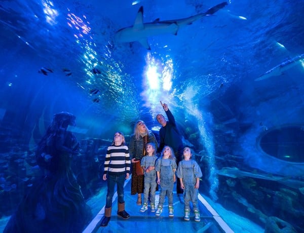 SEA LIFE birmingham sea tunnel