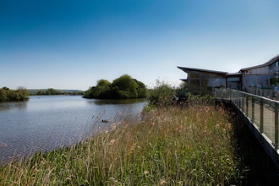 attenborough nature reserve and centre