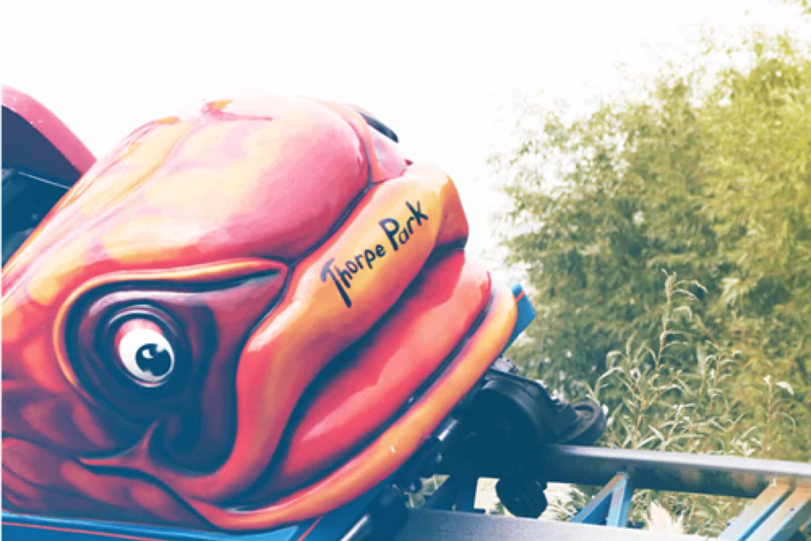 the flying fish