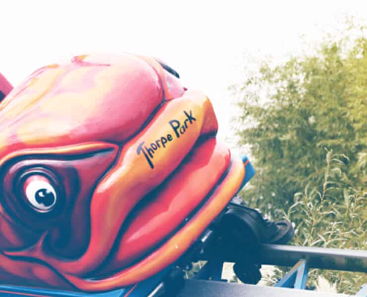 the flying fish