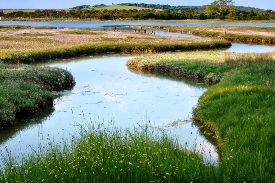 newton national reserve