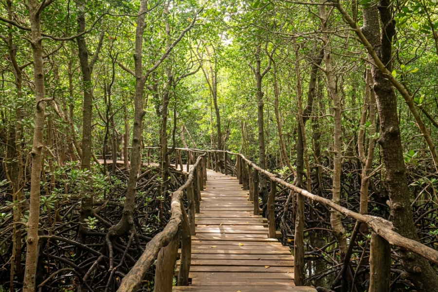 nature reservation