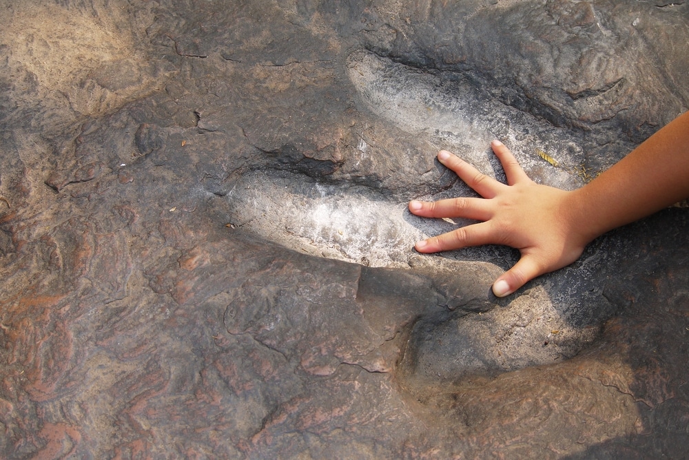 child's hand in dinosaur footprint