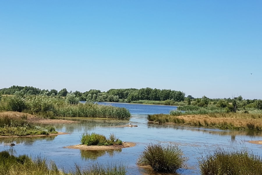 willington nature reservation