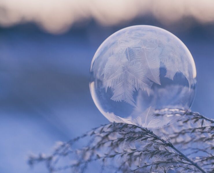 a bubble frozen in the winter