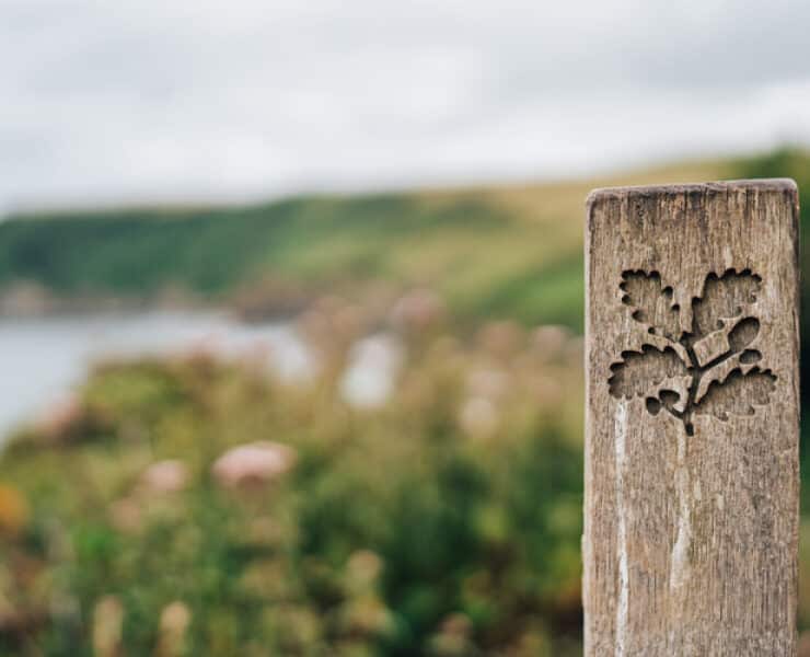 National Trust logo