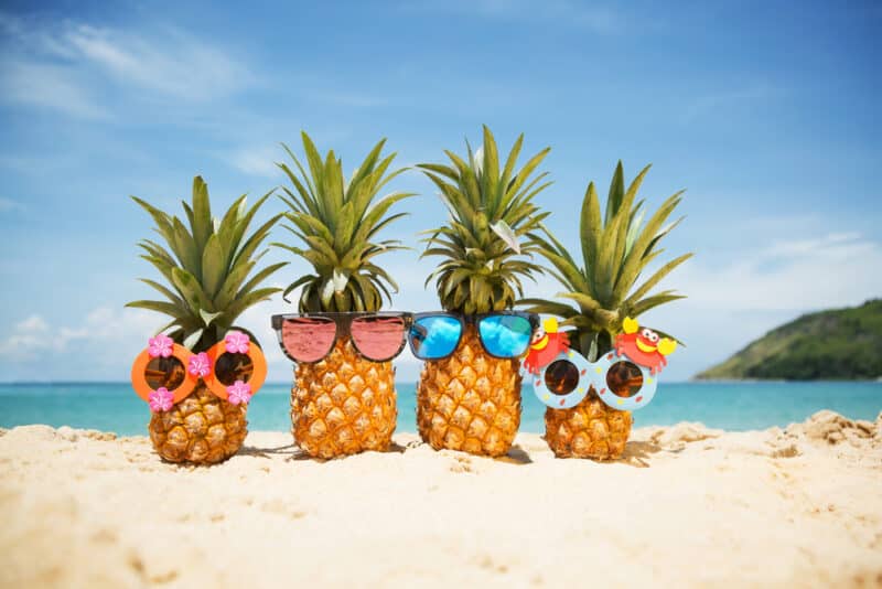 pineapples wearing sunglasses on the beach