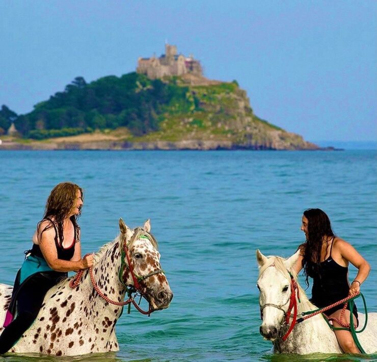 Cornwall swimming horses