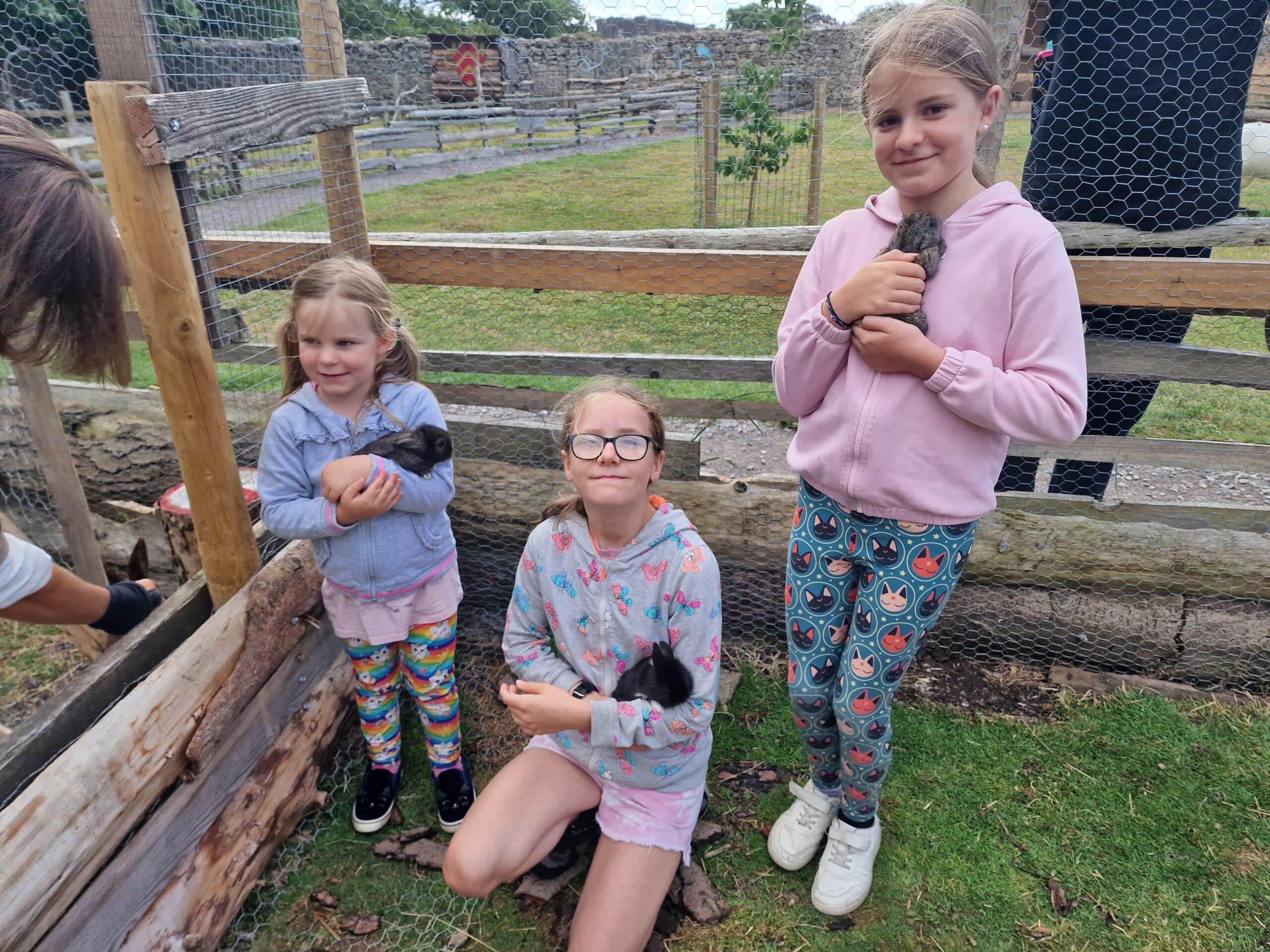 baby bunnies at fonmon castle