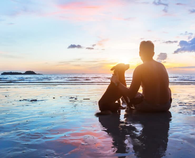 boy with dog on dog friendly beach