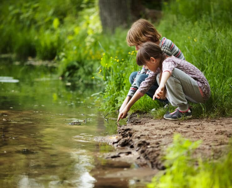 kids pointing at stream in woodlands