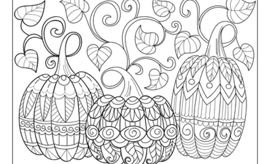 intricate pumpkin colouring pages