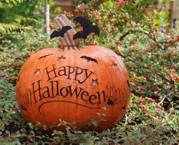 pumpkin saying happy halloween