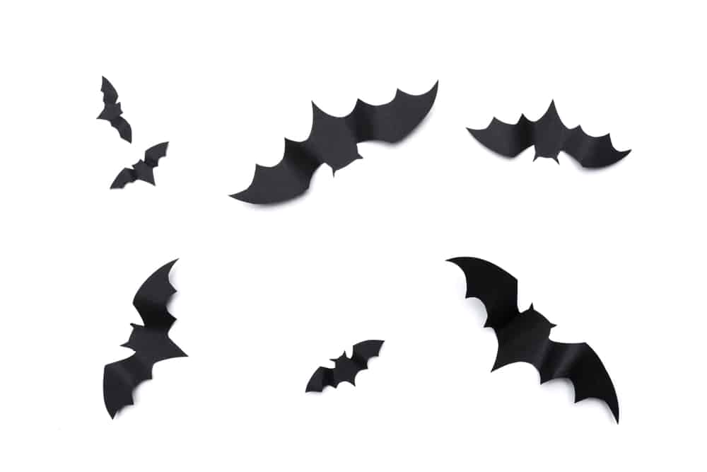 homemade halloween decorations of paper bats