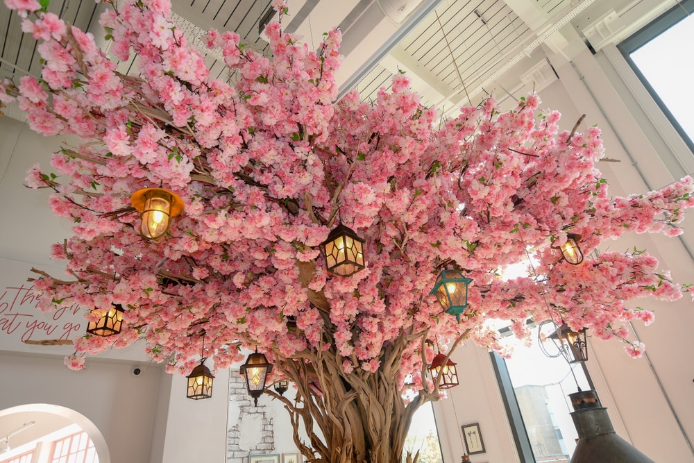 picture of the pink flower tree
