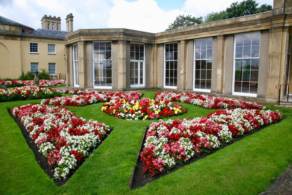 flowers at full bloom at heaton hall