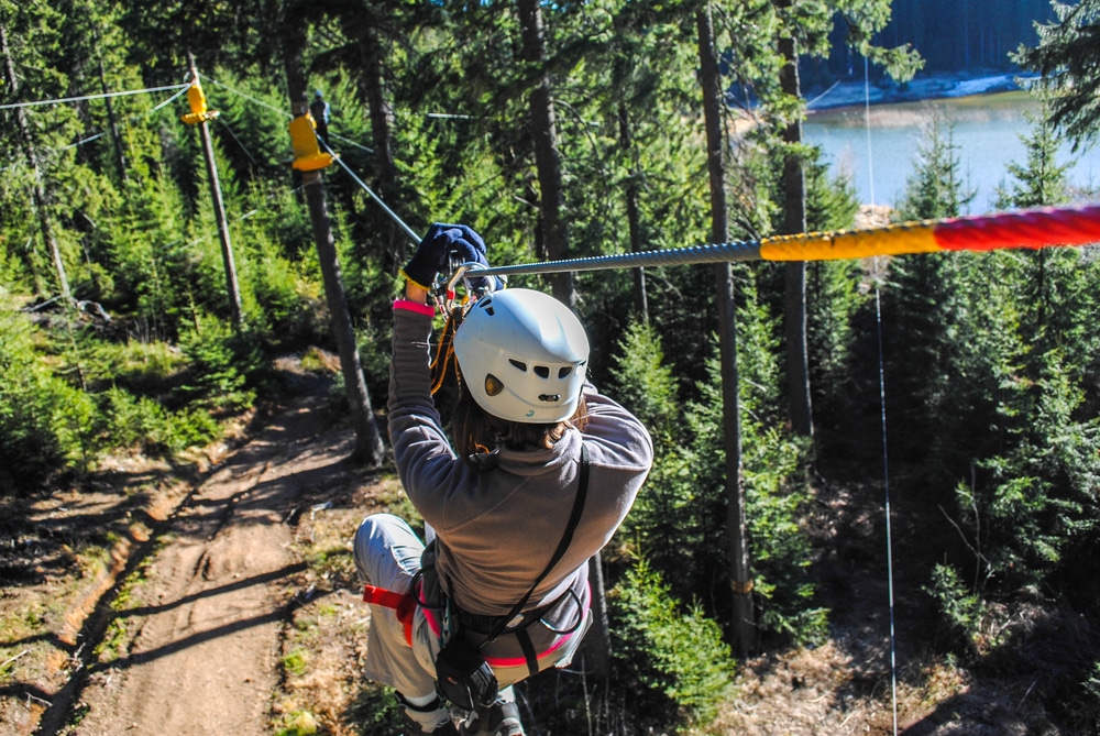 someone zip wiring in the woods