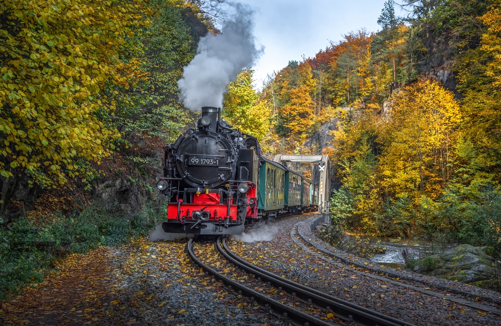 steam train travelling in the woods