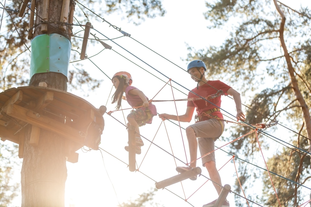 Zip wire near you
