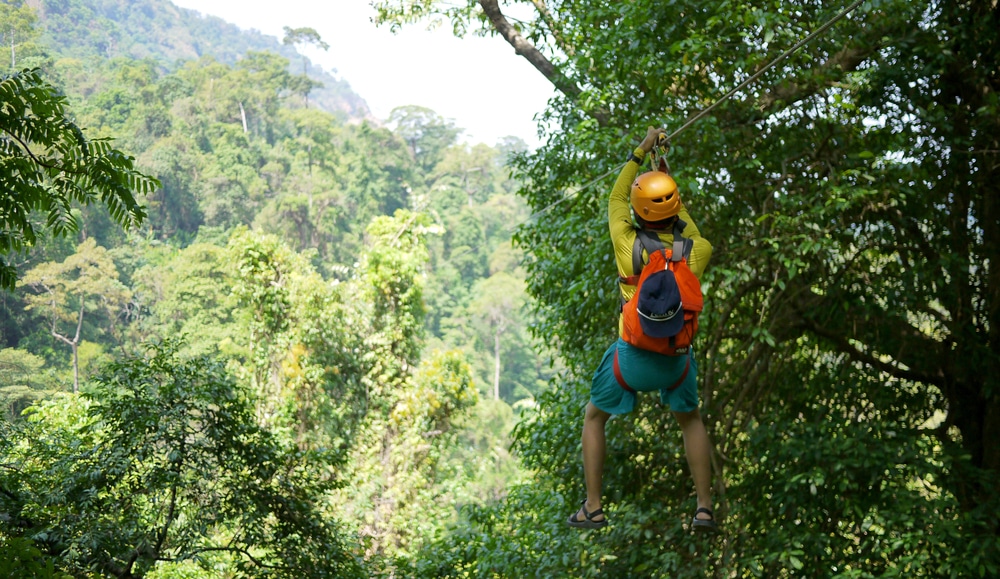 someone zip wiring through a forest in the trees