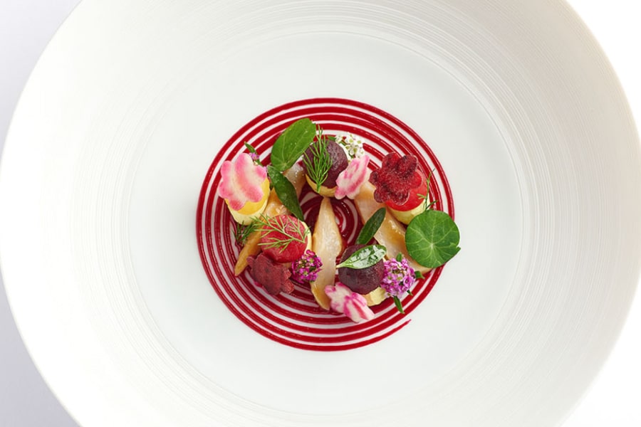 gourmet food thats colourful at the frog