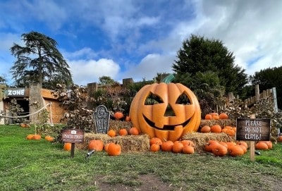 wmsp pumpkin