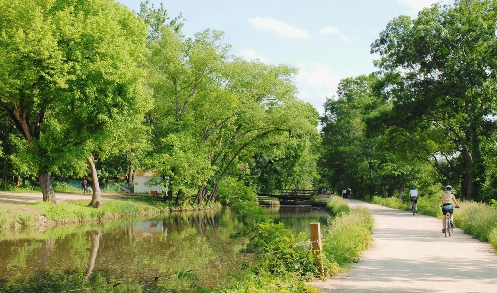 a cyclist in a park