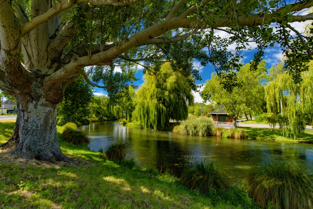 picture of river