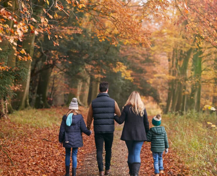 a family with their backs turned toward the camera walking in a forest
