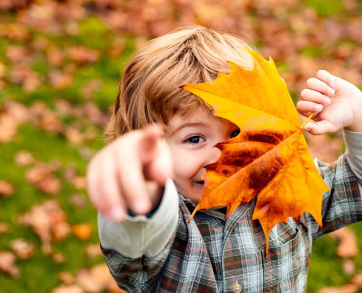 a boy holding up a big orange leaf