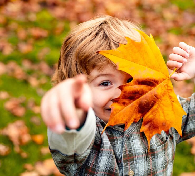 a boy holding up a big orange leaf