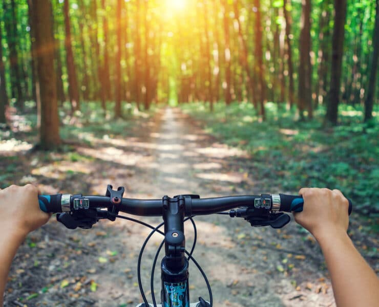 a child riding a bike in the sunny forest