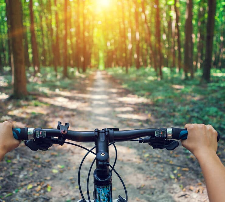 a child riding a bike in the sunny forest