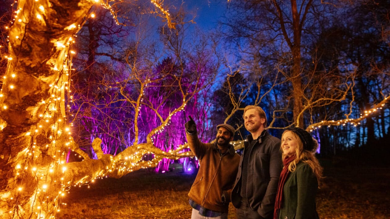 people looking at the light trail happily