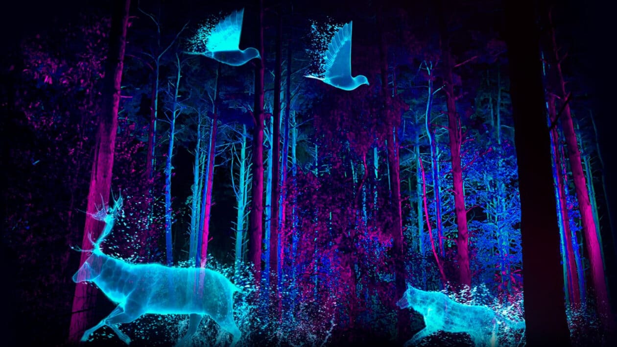 a light installation