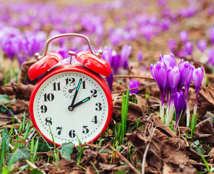 Clock in a field of flowers