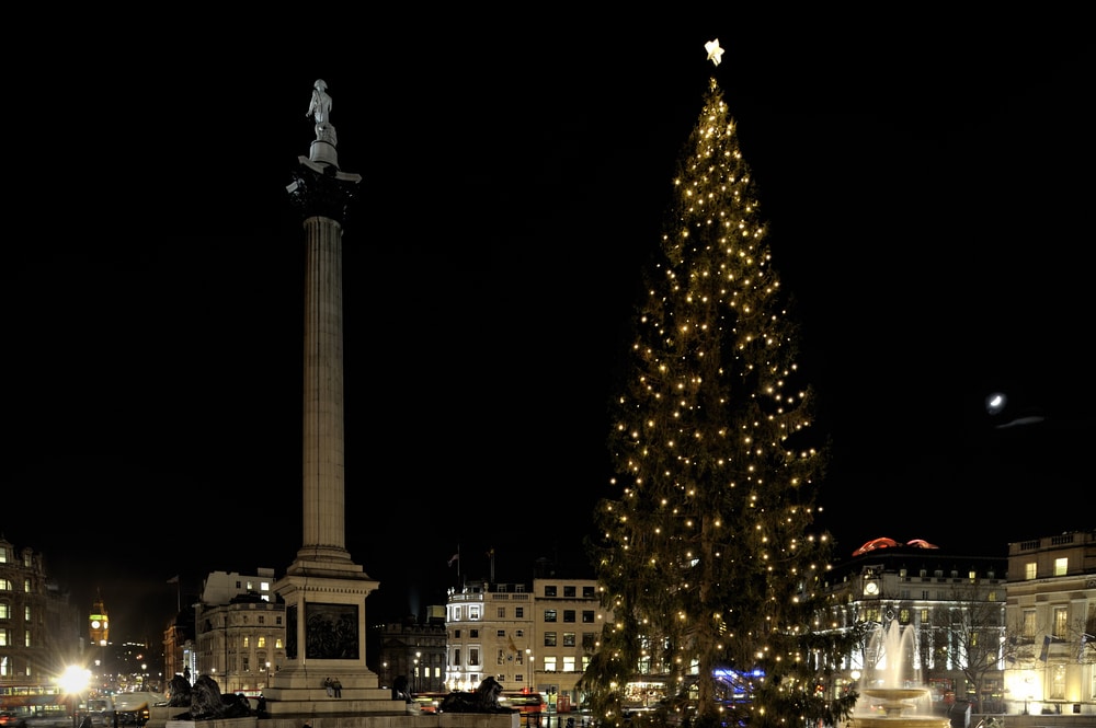 christmas tree