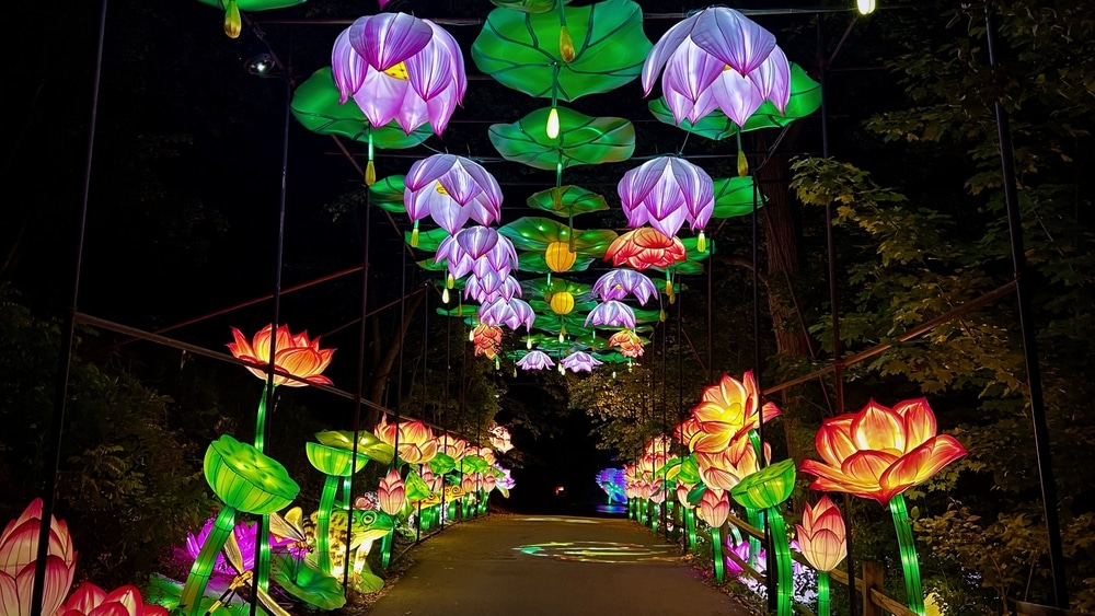 lights trail