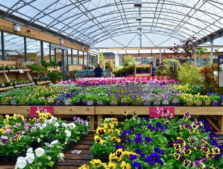a beautiful garden centre