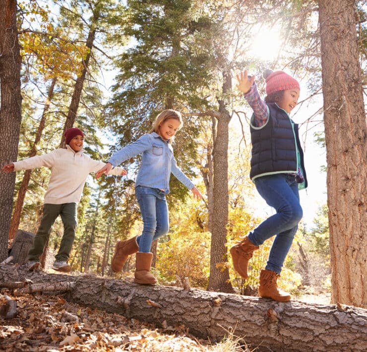 Children woodland walk